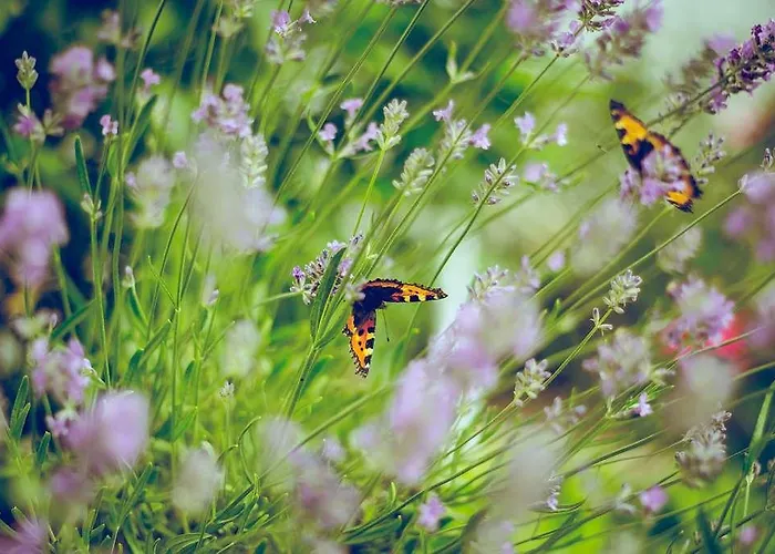 Hotell Ogspreebalance *